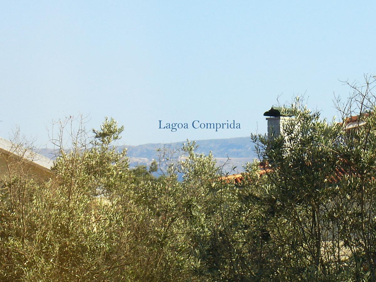 לינה וארוחת בוקר Vila Nova de Tazem Casa Do Lagar De Tazem מראה חיצוני תמונה
