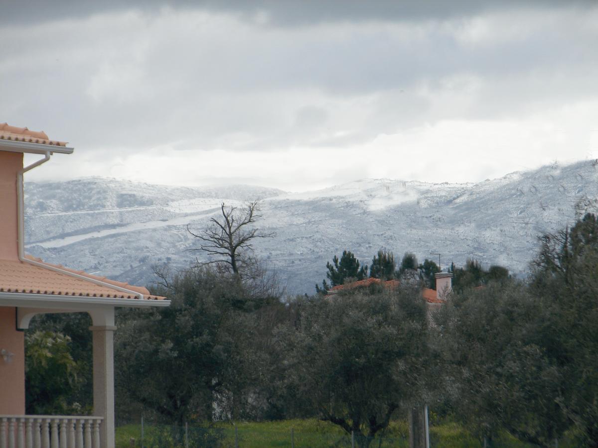לינה וארוחת בוקר Vila Nova de Tazem Casa Do Lagar De Tazem מראה חיצוני תמונה